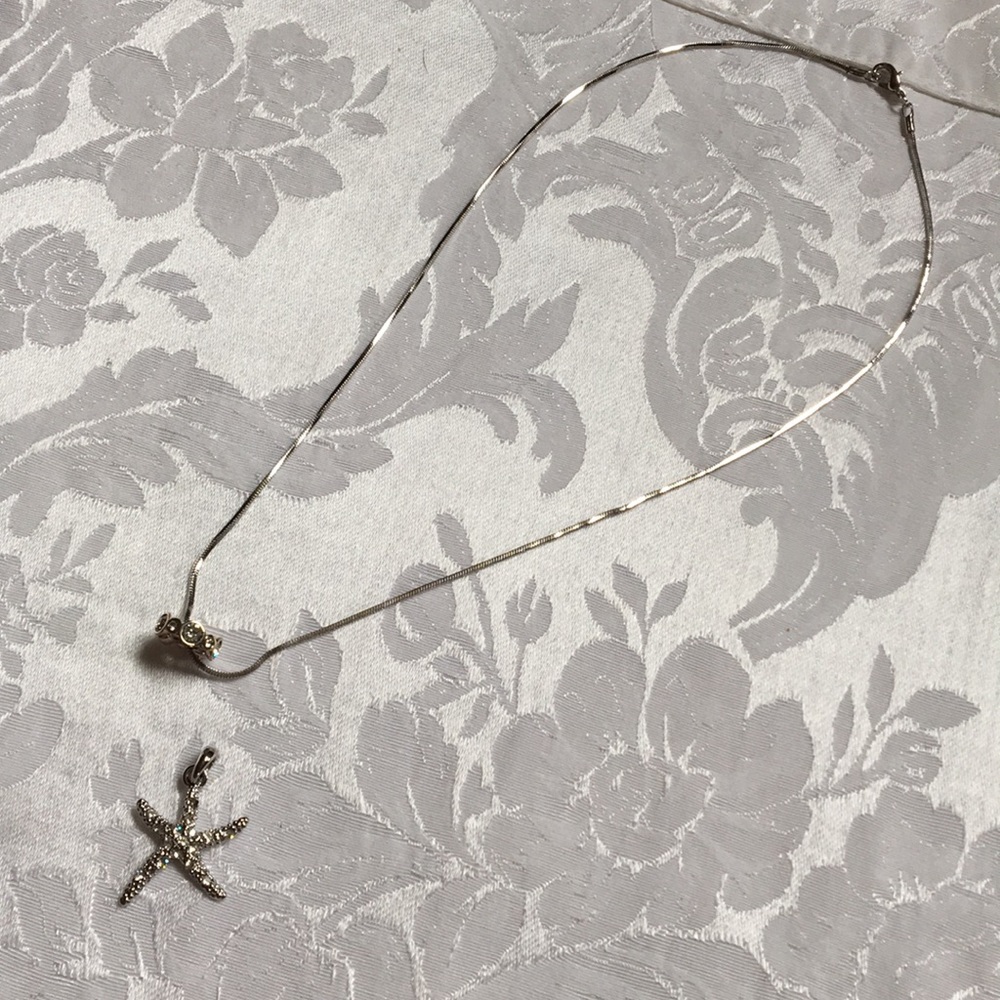 Silver Necklace - Picture 1 of 7